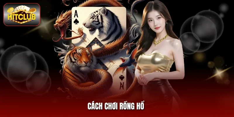 Cách Chơi Rồng Hổ Hitclub Chỉ Cách Chơi Đếm Thưởng Mỏi Tay