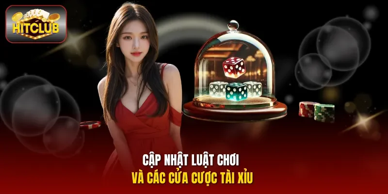 Cập nhật luật chơi và các cửa cược Tài xỉu