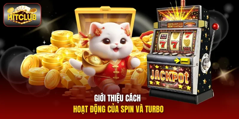 Giới thiệu cách hoạt động của spin và turbo