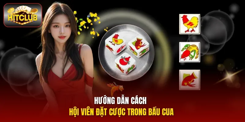 Hướng dẫn cách hội viên đặt cược trong Bầu Cua