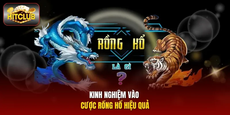 Kinh nghiệm vào cược Rồng hổ hiệu quả