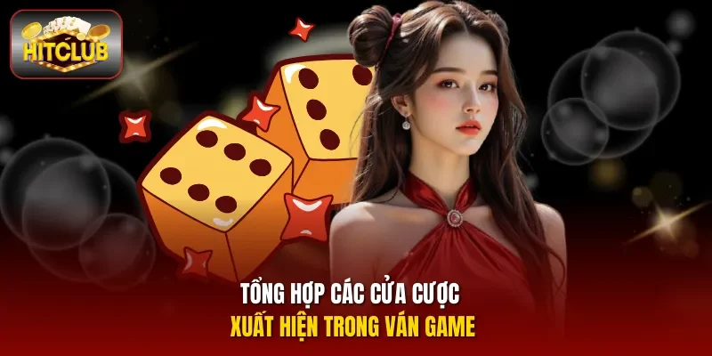Tổng hợp các cửa cược xuất hiện trong ván game